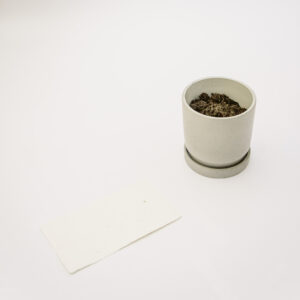 instructiuni hartie manuala plantabila pergame hartie cu seminte de flori sau plante aromatice